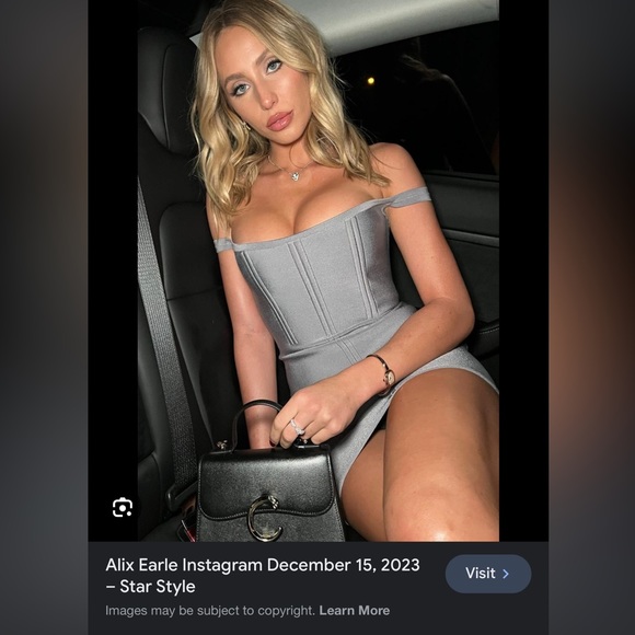 Cartier Top Handle Mini Model Panthere De Cartier - Picture 2 of 6